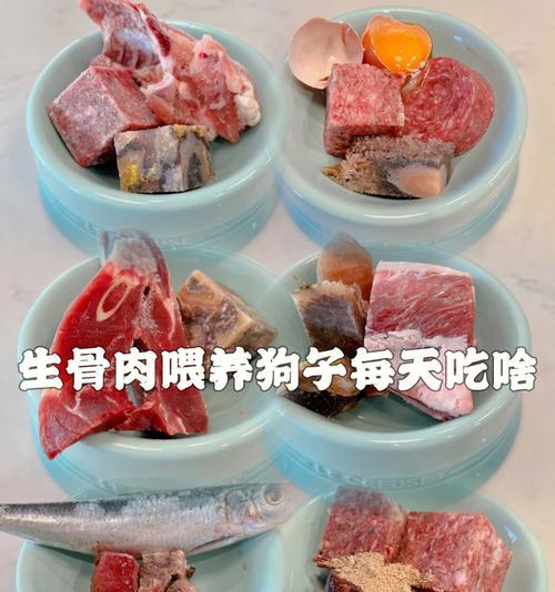 狗狗能否吃鸭架（宠物饮食安全知多少）