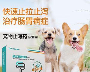 狗狗口服庆大霉素的安全性和使用方法是什么？了解庆大霉素