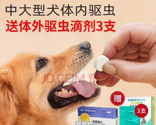 狗狗驱虫胶囊怎样选择？选择适合宠物的驱虫胶囊