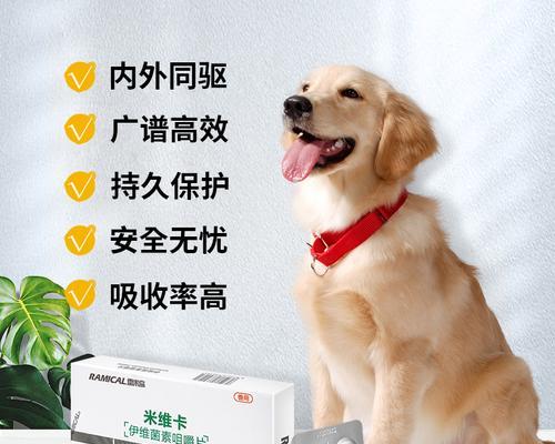 狗狗驱虫药作用是什么？从宠物健康