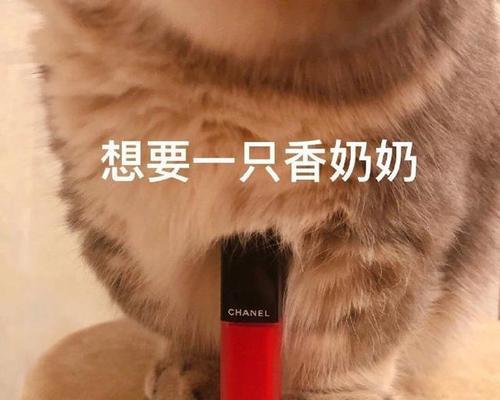 猫咪口红（探秘猫咪口红的特点及使用效果）