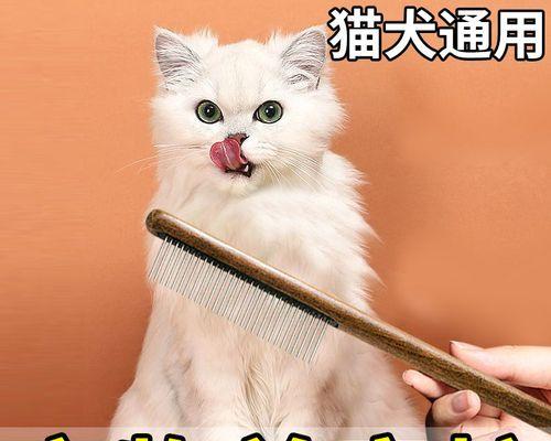 猫咪毛发异常——探讨宠物保健方法（宠物的健康）