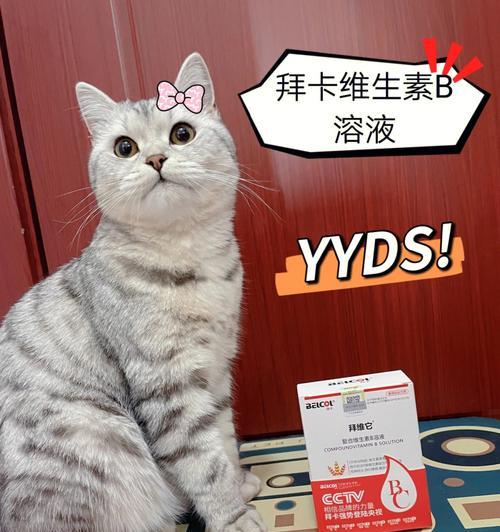 如何给宠物猫咪正确补充维生素（营养均衡是关键）