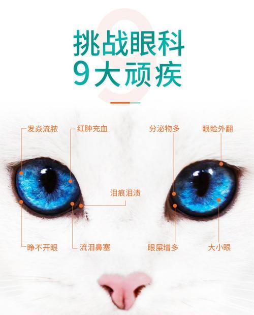 猫咪眼部健康——眼药水必备知识（有效保护你的宠物眼部健康）