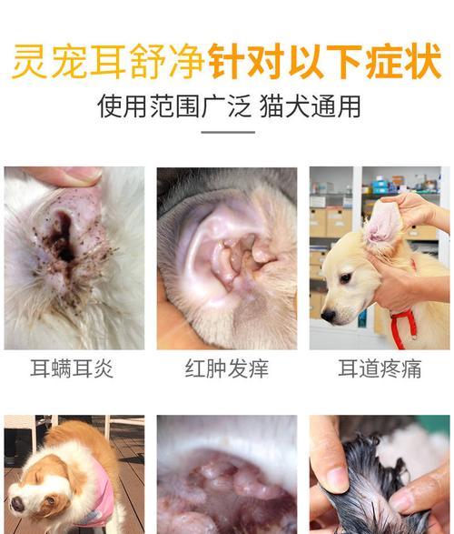 如何让宠物猫咪接受耳部清洁（以猫咪滴洗耳液疯狂挣扎为例）