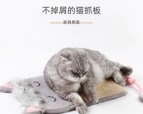 宠物猫咪肚子红肿，怎么办（教你如何预防和处理猫咪肚子红肿）