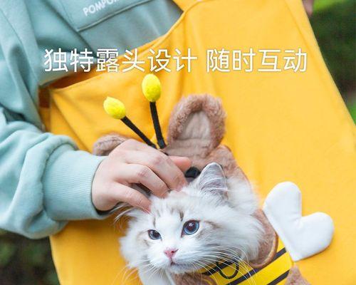 猫咪肚子左侧的包，该如何处理（宠物猫咪有了包）