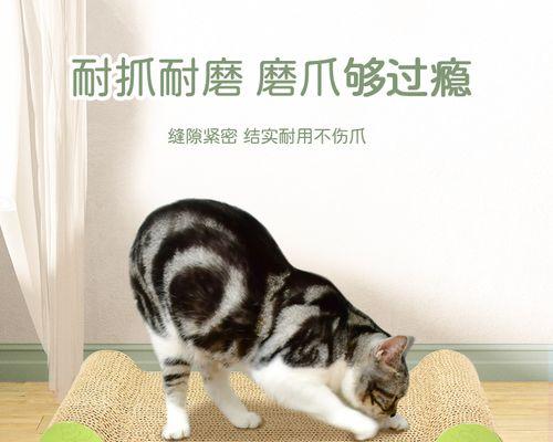 猫咪的猫抓板使用时机和技巧（为了让猫咪更健康和舒适）