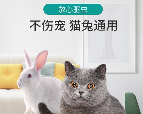 宠物猫咪打虫药全攻略（多久打一次）