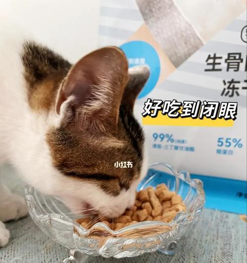 猫咪饥饿时会不会吃同类（以宠物为主）