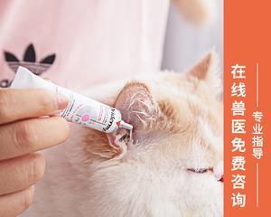 猫咪耳朵长痘痘的原因和解决方法（宠物爱好者必看）