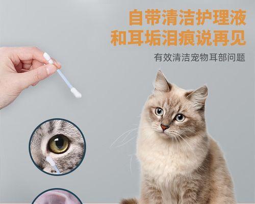 猫咪耳朵旁的白色神秘（揭秘猫咪耳朵旁的白色斑块）