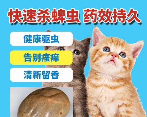 猫咪耳螨的真相——不是蜱虫（揭开宠物耳朵里的秘密）