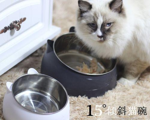 猫咪发热会传染别的猫吗（了解猫咪发热传染性的注意事项）