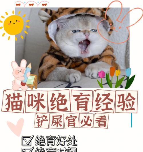 如何识别和治疗猫咪妇科疾病——让你的爱宠远离疾病（预防和治疗猫咪妇科疾病的有效方法）