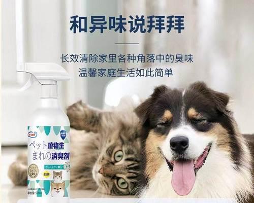 如何让新家的猫咪熟悉猫砂（以宠物为主）