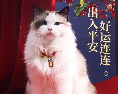 猫咪行为百科大全（从头到尾了解你的爱宠）