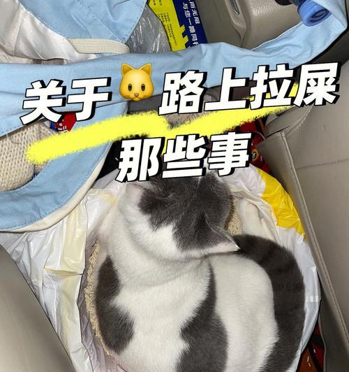 猫咪为何害怕别人看他上厕所（揭秘猫咪厕所隐私的原因与解决方案）