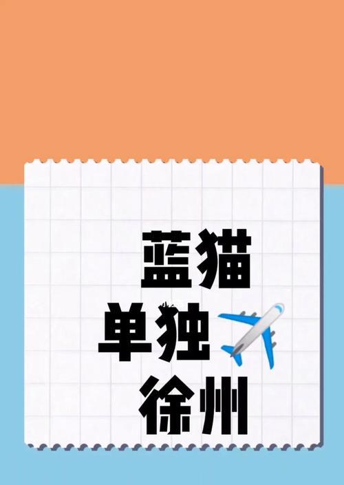 宠物托运——信任晋喜，安心出行（以猫咪航空为例）