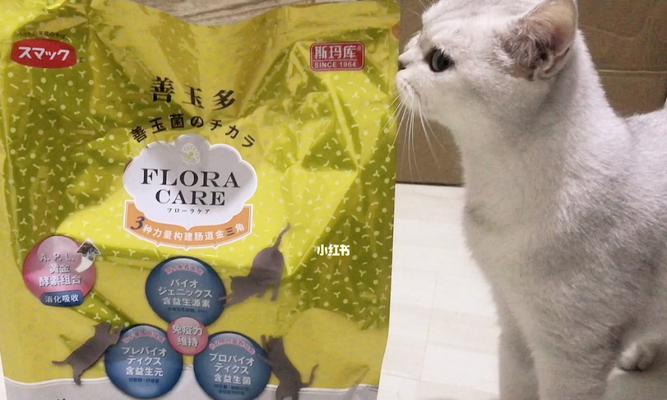 猫咪喝了益生菌还能喂猫粮吗（探讨猫咪益生菌与猫粮搭配的正确方法）