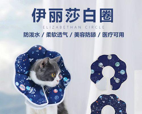 以猫咪喝水预防疾病（宠物健康从喝水开始）