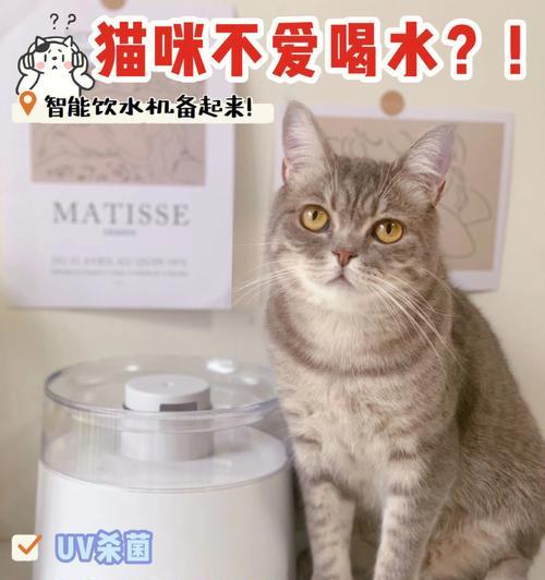 猫咪喝水少尿的原因及预防措施（为什么猫咪喝水少会尿少）