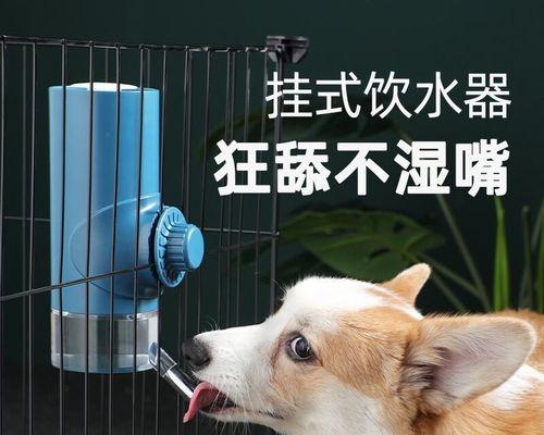 猫咪湿嘴喝水对宠物健康有危害吗（研究发现）