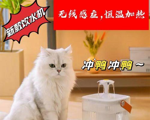 如何让宠物猫咪喝水更健康（注意事项及喝水方式）