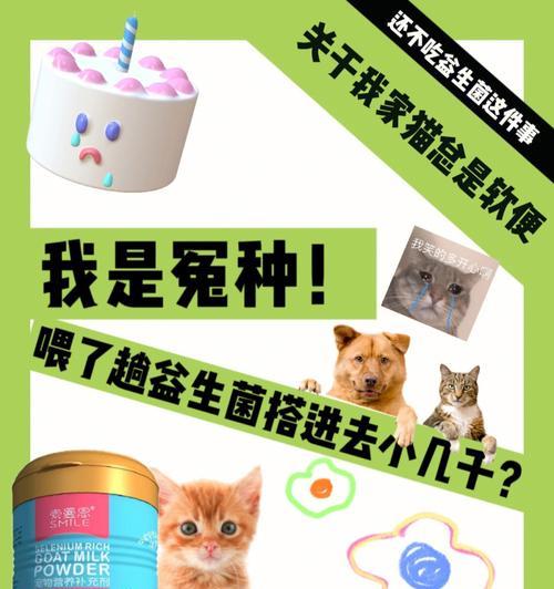 猫咪怀孕必须吃益生菌（了解这些知识）