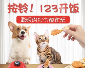 猫咪按铃寻食，主人你准备好了吗（了解猫咪的按铃习惯）