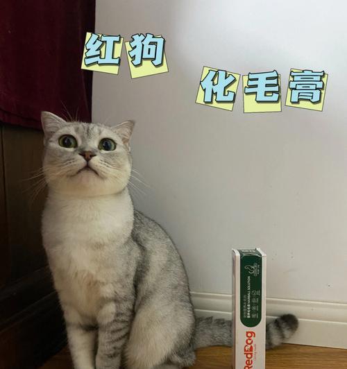 宠物猫咪几个月可以开始吃化毛膏？