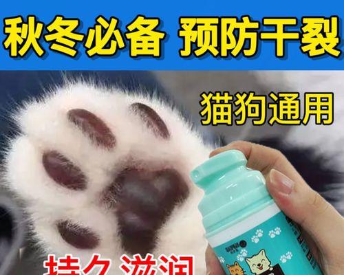 宠物猫咪脚趾裂口怎么治疗（如何帮助猫咪缓解疼痛）