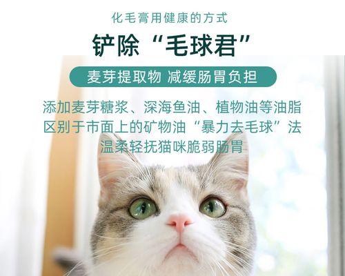 猫咪为何叫不出声却一直呕（宠物猫咪常见的呕吐症状及其原因）