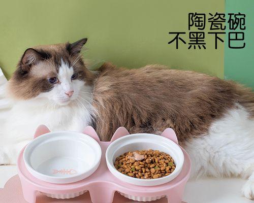 如何分辨猫咪的年龄（从外貌特征到行为表现）