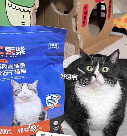 宠物猫咪喝乳酸菌的好处与注意事项（为什么猫咪需要喝乳酸菌）