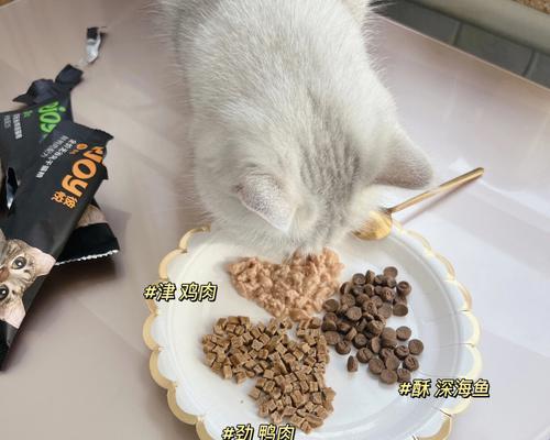 猫咪降火，宠爱从饮食开始（以猫咪可以吃的降火为主题）