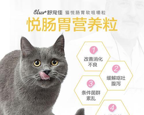 以益生菌为猫的健康护航（人类益生菌也适用于猫）