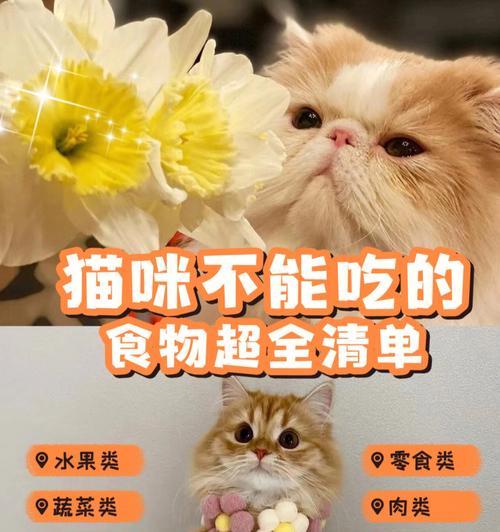 猫咪可以吃韭菜吗（宠物主人必读）