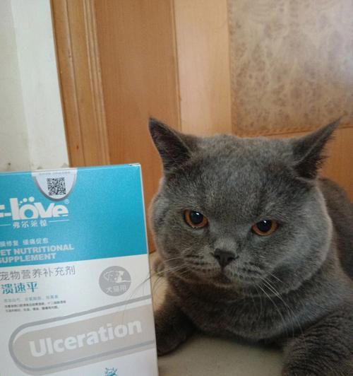 猫咪口腔溃疡的治疗方法（了解口腔溃疡的症状和治疗药物）