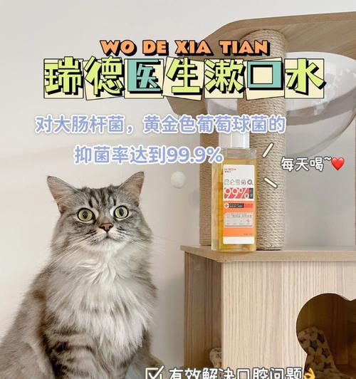 猫咪口腔溃疡的症状及治疗（探寻口腔溃疡特效药）