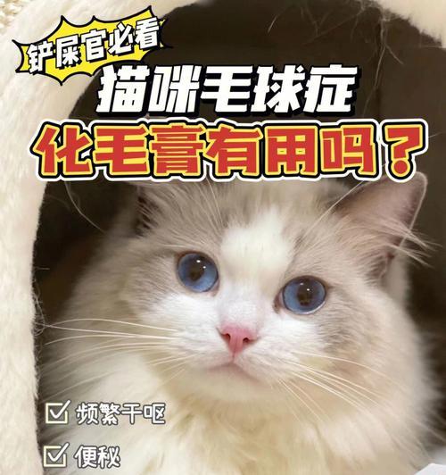 猫咪拉出的毛球，如何减少对宠物健康的影响（探究毛球形成的原因与预防方法）