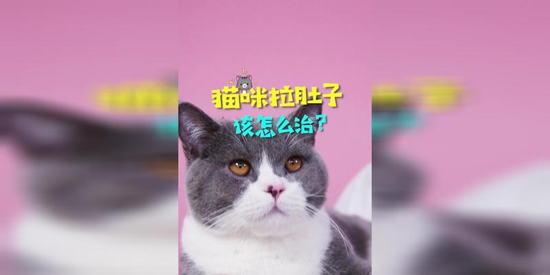 宠物猫拉肚子的原因及治疗方法（了解宠物猫拉肚子的症状和危害）