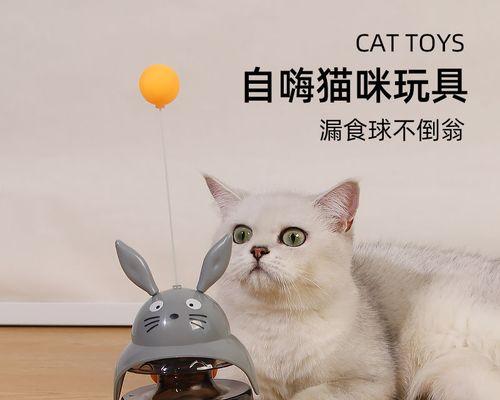 猫咪为何老是拿屁股蹭你？探究猫咪行为语言中的“臀部蹭擦”以及其背后的原因