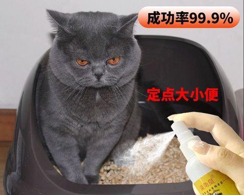 10天小猫没大便正常吗？多久拉一次？