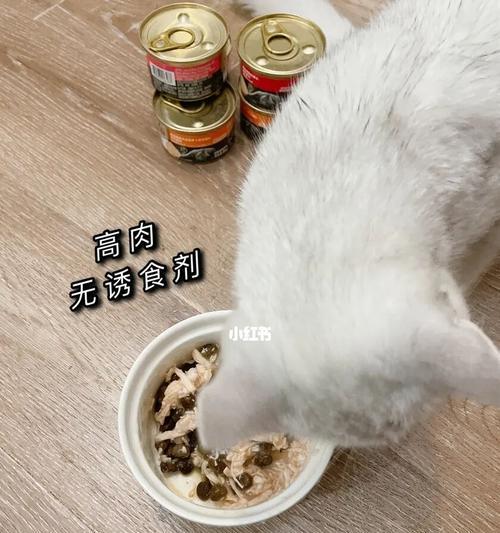 1个月大的小猫可以吃猫粮吗？如何过渡？