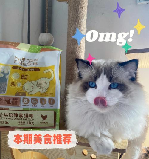 1岁布偶猫每天吃多少猫粮合适？饮食计划？