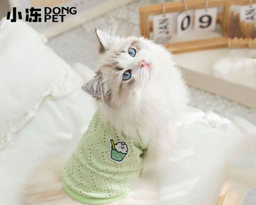 猫咪掉毛季节是几月份？1月份掉毛正常吗？