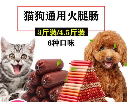 20天的小狗可以开始喂狗粮吗？如何过渡？