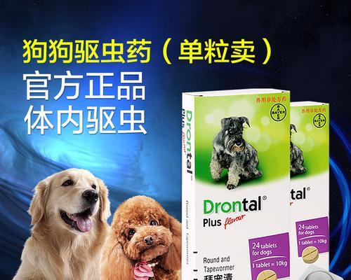 狗狗2个月大发烧怎么办？推荐使用哪些药物？