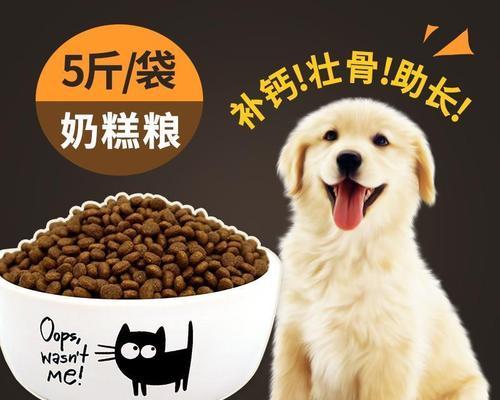 2个月大的泰迪犬应该吃什么狗粮？推荐哪种品牌？